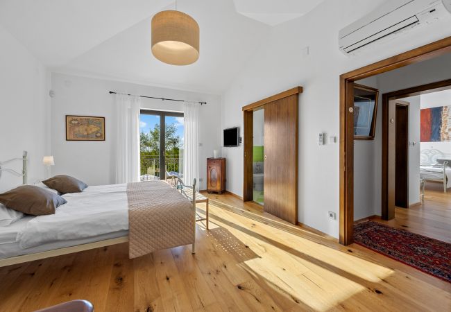 Villa in Pinezici - Villa Maddalena with private pool in Tinjan, Istra Villa in Pinezici - Villa Maddalena with private pool in Tinjan, Istra