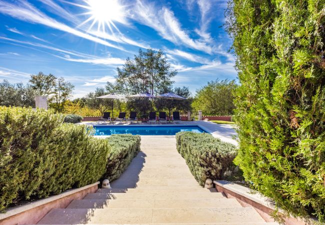 Villa in Pinezici - Villa Maddalena with private pool in Tinjan, Istra Villa in Pinezici - Villa Maddalena with private pool in Tinjan, Istra
