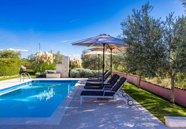 Villa in Pinezici - Villa Maddalena with private pool in Tinjan, Istra Villa in Pinezici - Villa Maddalena with private pool in Tinjan, Istra