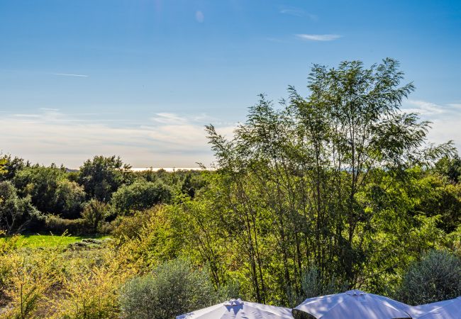 Villa in Pinezici - Villa Maddalena with private pool in Tinjan, Istra Villa in Pinezici - Villa Maddalena with private pool in Tinjan, Istra