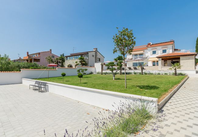 Villa in Buici - Villa Anela with pool in Porec Villa in Buici - Villa Anela with pool in Porec