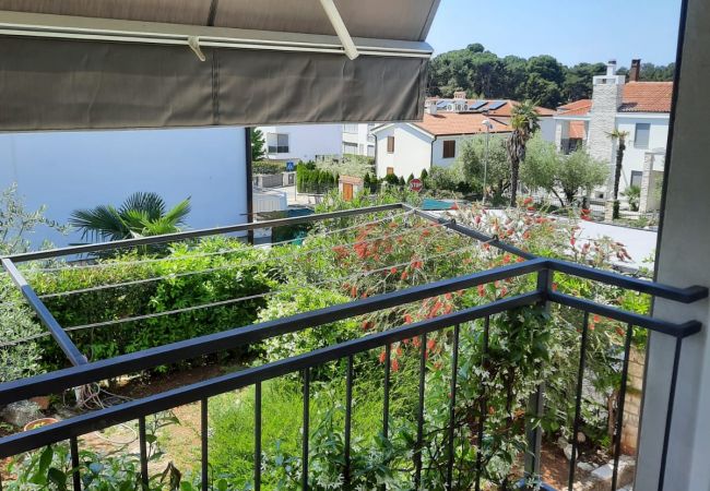 Apartment in Porec - Premium apartment Sunny Apartment in Porec - Premium apartment Sunny