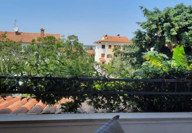 Apartment in Porec - Premium apartment Sunny Apartment in Porec - Premium apartment Sunny