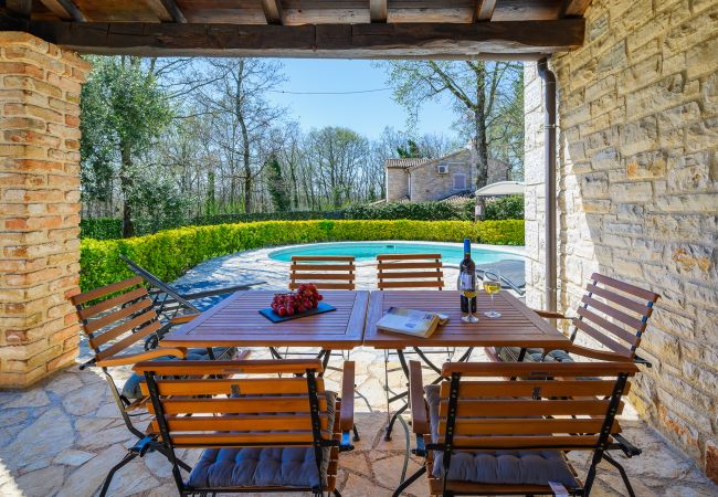 Villa Elaya, pool view, Tinjan, Istria Villa Elaya, Tinjan, Istria