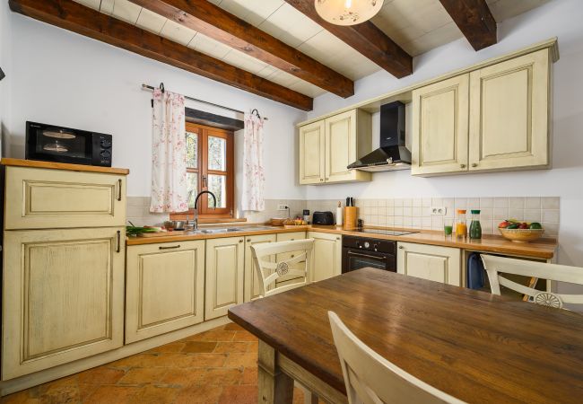 Villa in Banki - Villa Elaya with private pool in Tinjan, Istria Villa in Banki - Villa Elaya with private pool in Tinjan, Istria