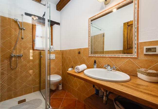 Villa in Banki - Villa Elaya with private pool in Tinjan, Istria Villa in Banki - Villa Elaya with private pool in Tinjan, Istria