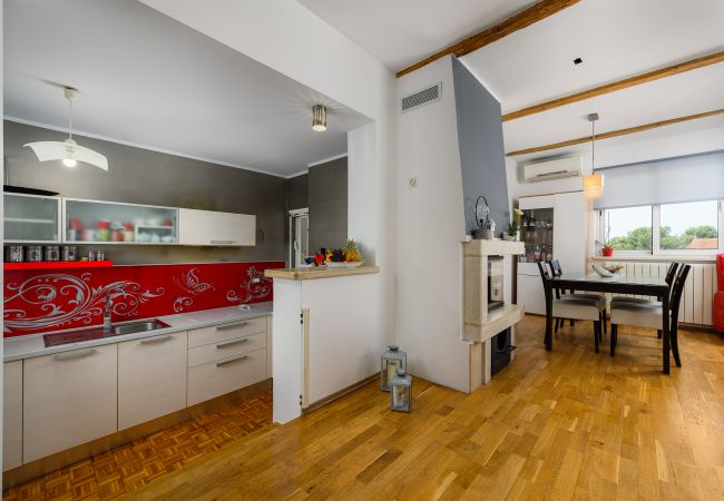 Apartment in Dracevac - Premium Apartment David Apartment in Dracevac - Premium Apartment David