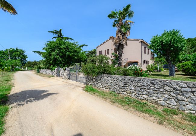 Apartment in Dracevac - Premium Apartment David Apartment in Dracevac - Premium Apartment David