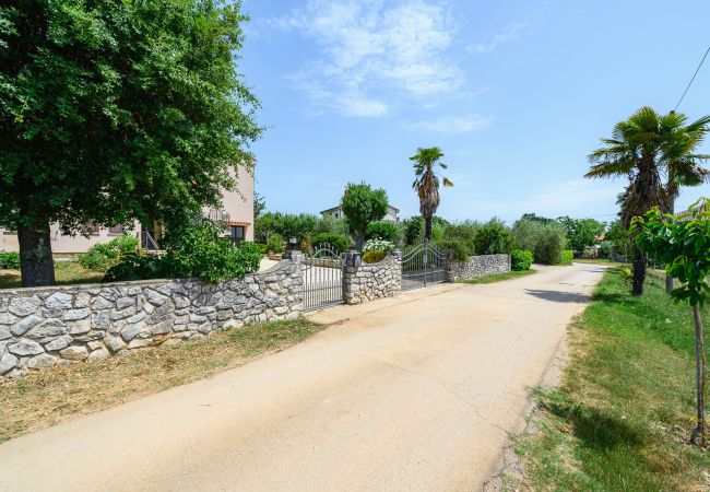 Apartment in Dracevac - Premium Apartment David Apartment in Dracevac - Premium Apartment David