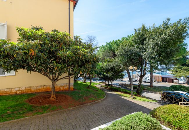 Apartment in Porec - Apartment Maria in Porec, Istria Apartment in Porec - Apartment Maria in Porec, Istria