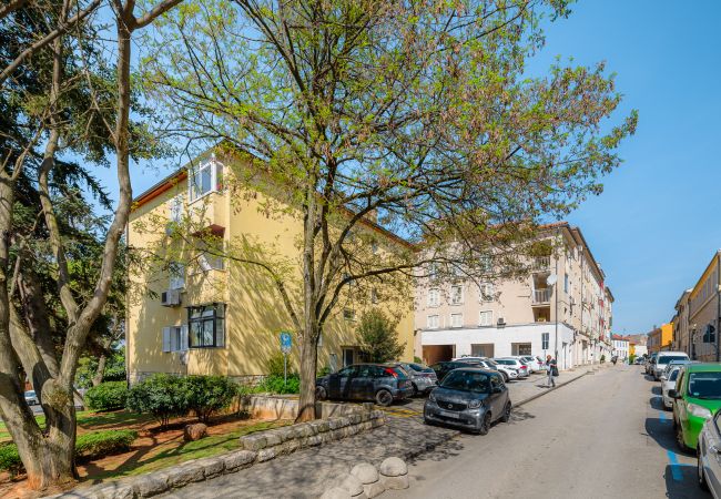 Apartment in Porec - Apartment Maria in Porec, Istria Apartment in Porec - Apartment Maria in Porec, Istria