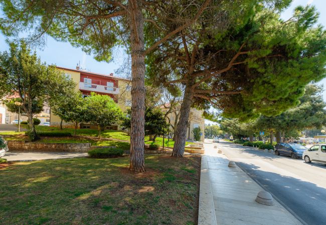 Apartment in Porec - Apartment Maria in Porec, Istria Apartment in Porec - Apartment Maria in Porec, Istria