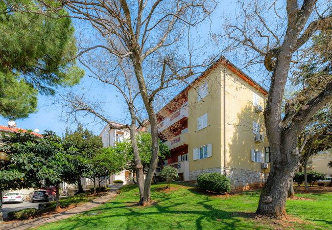 Apartment in Porec - Apartment Maria in Porec, Istria Apartment in Porec - Apartment Maria in Porec, Istria