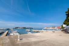 Apartment in Porec - Apartment Maria in Porec, Istria