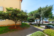 Apartment in Porec - Apartment Maria in Porec, Istria