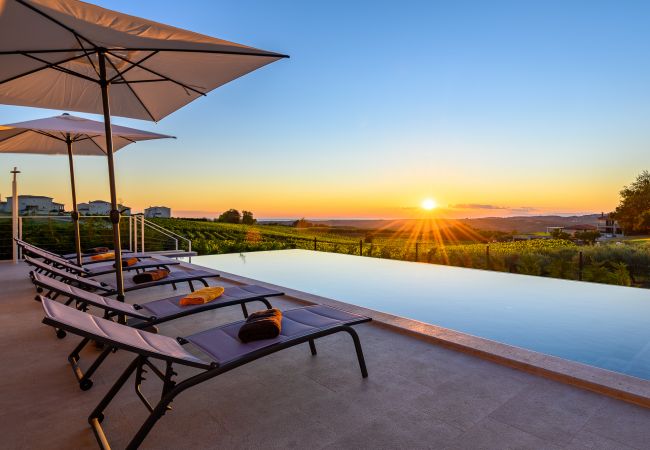 Luxury Villa with Pool near Bajkini