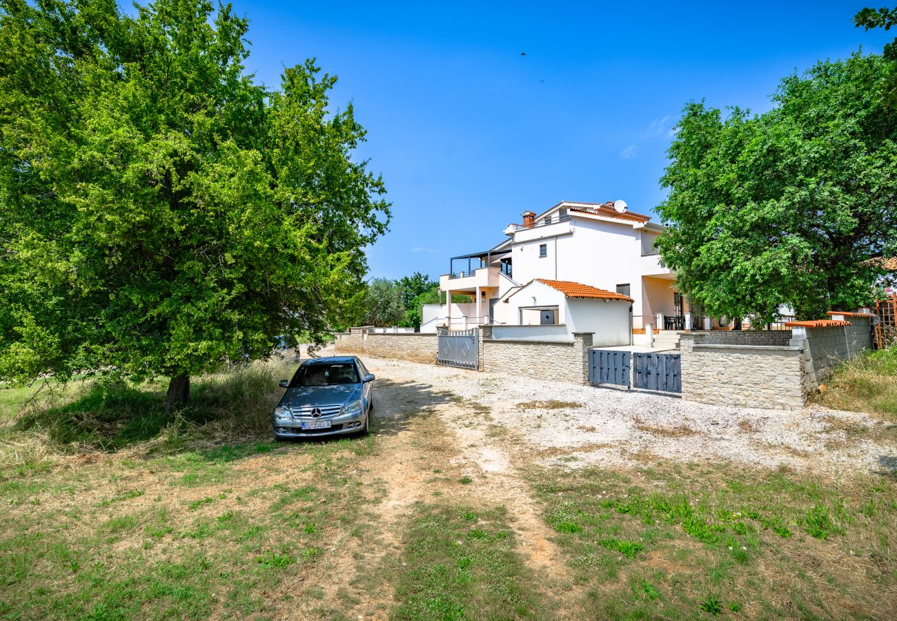 Apartment in Stranici kod Nove Vasi - Apartment Panous 2 Apartment in Stranici kod Nove Vasi - Apartment Panous 2