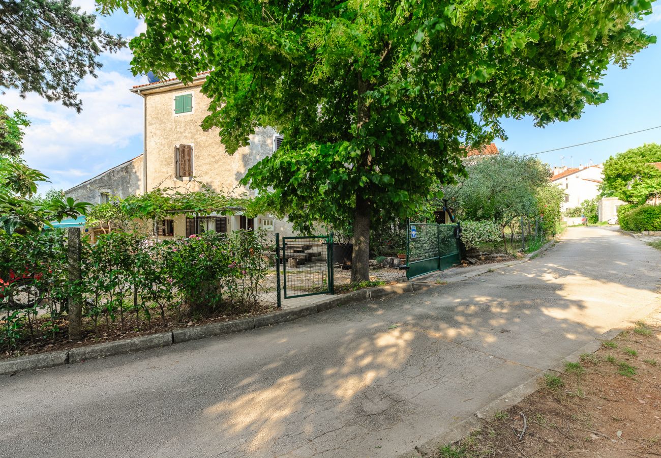 Apartment in Cervar Porat - Stella Marina Deluxe Apartment Apartment in Cervar Porat - Stella Marina Deluxe Apartment