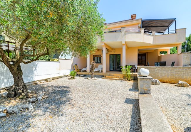 Apartment in Stranici kod Nove Vasi - Apartment Panous 1 Apartment in Stranici kod Nove Vasi - Apartment Panous 1