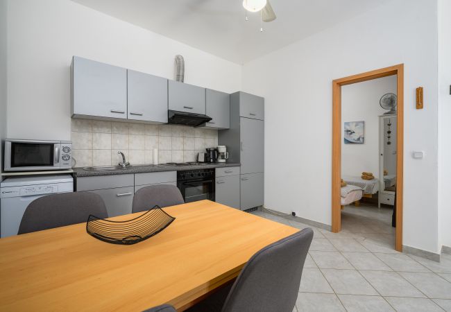 Apartment in Stranici kod Nove Vasi - Apartment Panous 1 Apartment in Stranici kod Nove Vasi - Apartment Panous 1