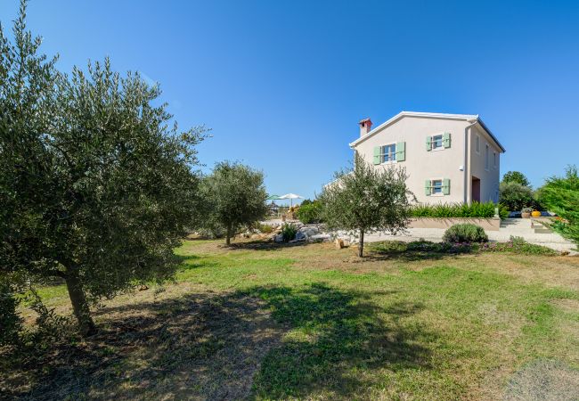 Villa in Srebrnići - Villa Stella Polaris with pool in Visnjan, Istria Villa in Srebrnići - Villa Stella Polaris with pool in Visnjan, Istria