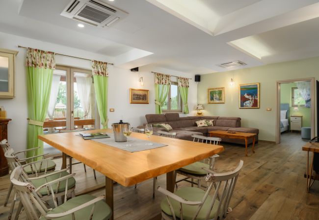 Villa in Srebrnići - Villa Stella Polaris with pool in Visnjan, Istria Villa in Srebrnići - Villa Stella Polaris with pool in Visnjan, Istria