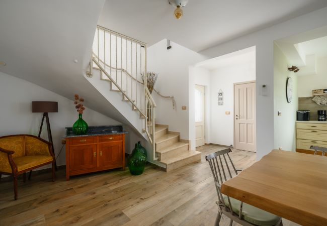 Villa in Srebrnići - Villa Stella Polaris with pool in Visnjan, Istria Villa in Srebrnići - Villa Stella Polaris with pool in Visnjan, Istria