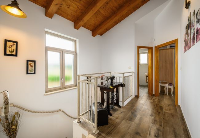 Villa in Srebrnići - Villa Stella Polaris with pool in Visnjan, Istria Villa in Srebrnići - Villa Stella Polaris with pool in Visnjan, Istria