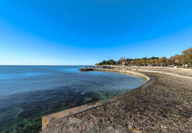 House in Porec - Casa Cittar House in Porec - Casa Cittar