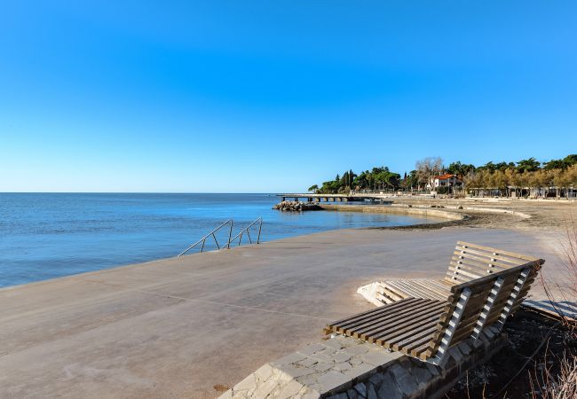 House in Porec - Casa Cittar House in Porec - Casa Cittar