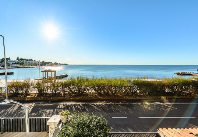 House in Porec - Casa Cittar House in Porec - Casa Cittar