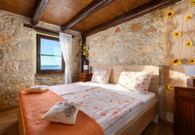 House in Porec - Casa Cittar House in Porec - Casa Cittar