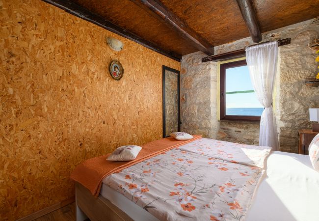 House in Porec - Casa Cittar House in Porec - Casa Cittar