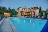 Villa in Porec - Villa Stupenda Villa in Porec - Villa Stupenda