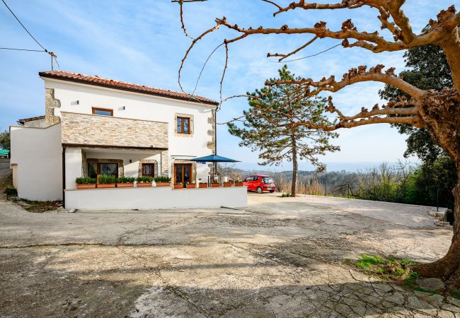 House in Grožnjan - Casa Piccola Leona with pool in Groznjan House in Grožnjan - Casa Piccola Leona with pool in Groznjan