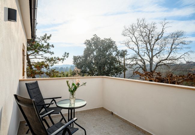 House in Grožnjan - Casa Piccola Leona with pool in Groznjan House in Grožnjan - Casa Piccola Leona with pool in Groznjan