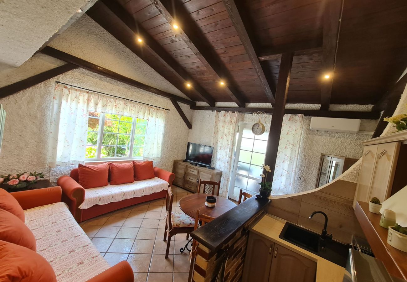 Apartment in Porec - Apartment Erna in Porec, Istria Apartment in Porec - Apartment Erna in Porec, Istria