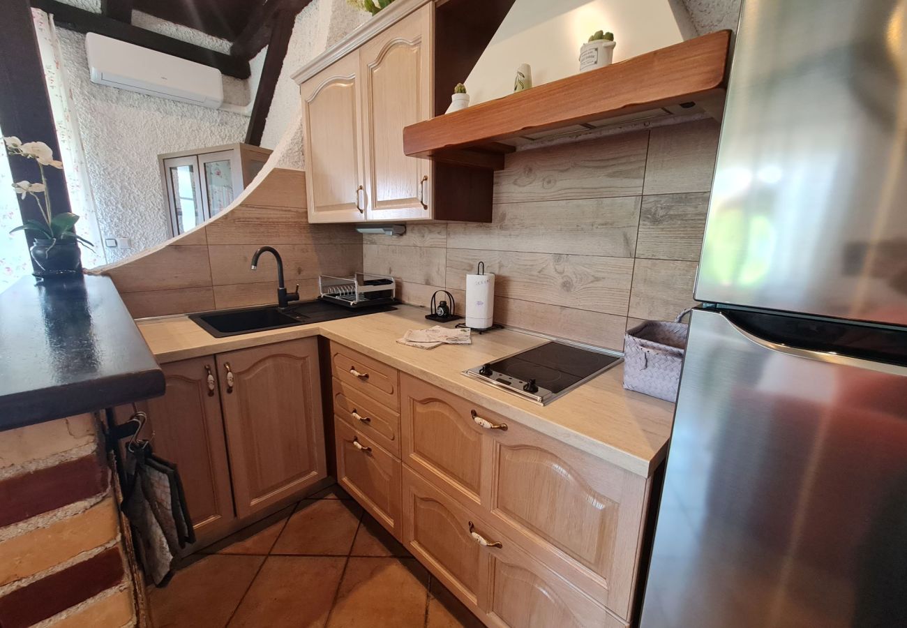 Apartment in Porec - Apartment Erna in Porec, Istria Apartment in Porec - Apartment Erna in Porec, Istria