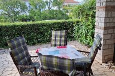 Apartment in Porec - Apartment Erna in Porec, Istria