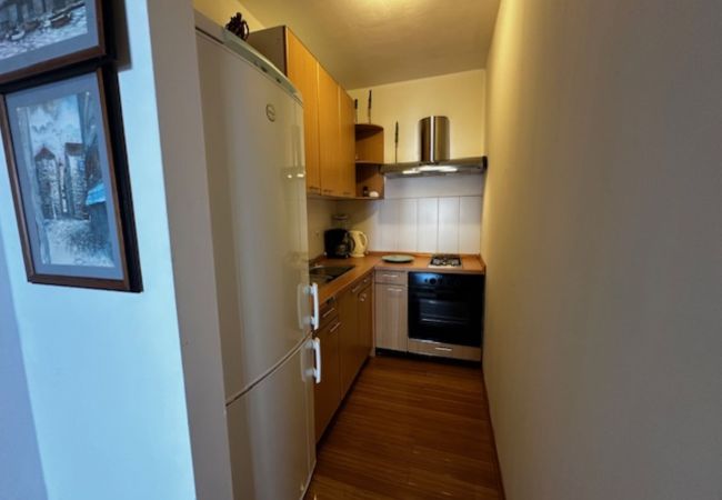 Apartment in Mugeba - Apartment Branko I in Porec, Istria Apartment in Mugeba - Apartment Branko I in Porec, Istria