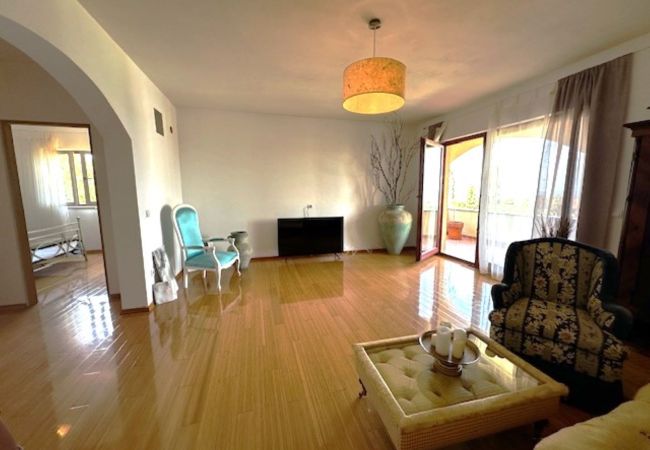 Apartment in Mugeba - Apartment Branko I in Porec, Istria Apartment in Mugeba - Apartment Branko I in Porec, Istria