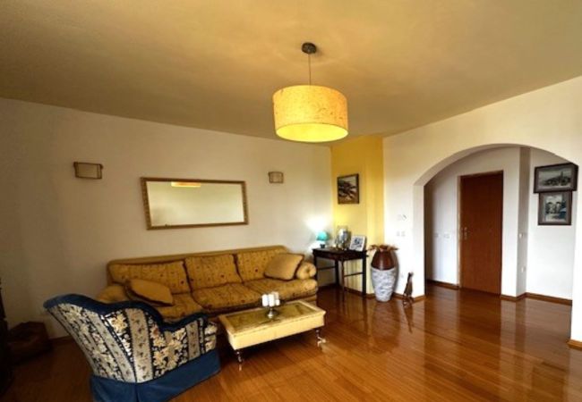 Apartment in Mugeba - Apartment Branko I in Porec, Istria Apartment in Mugeba - Apartment Branko I in Porec, Istria