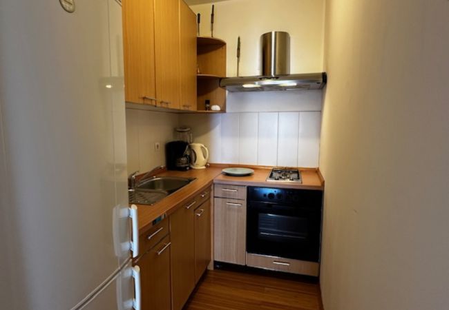 Apartment in Mugeba - Apartment Branko I in Porec, Istria Apartment in Mugeba - Apartment Branko I in Porec, Istria