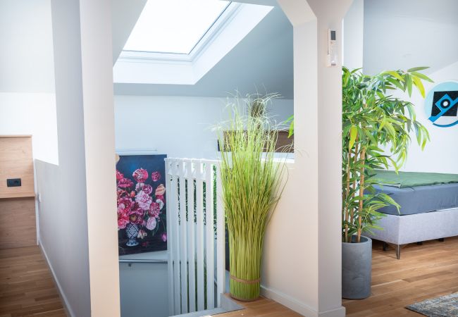 House in Porec - Casa San Marco House in Porec - Casa San Marco