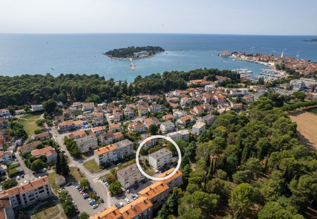 Apartment in Porec - Apartment Noelle by the Sea in Poreč, Istria Apartment in Porec - Apartment Noelle by the Sea in Poreč, Istria