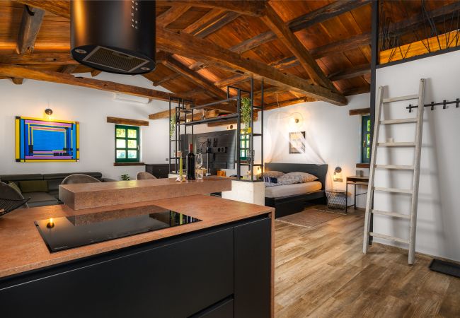 House in Cerjani - Casa Toni with Whirpool In Kastelir, Istria House in Cerjani - Casa Toni with Whirpool In Kastelir, Istria