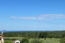 Apartment in Porec - Premium Apartment Seven with Pool in Poreč