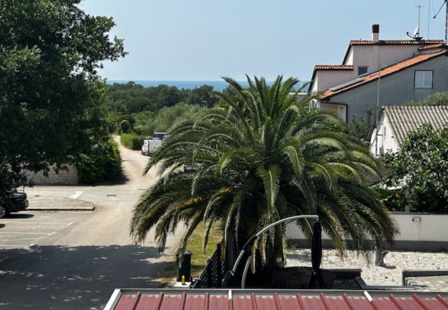 Apartment in Porec - Seaview Apartment Mala Kala in Poreč,Istria Apartment in Porec - Seaview Apartment Mala Kala in Poreč,Istria