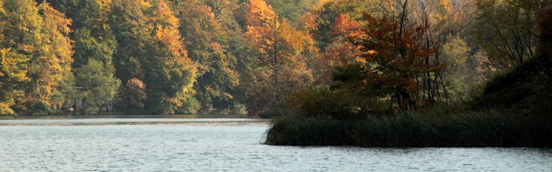 Autum Fall Porec croatia