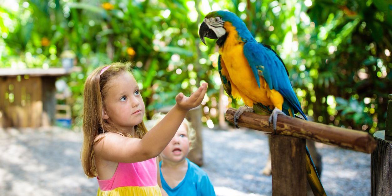 children-papago-park-croatia-family